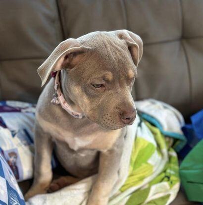 346455136_567995678734034_2234439597072426522_n