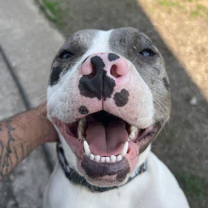 350959143_1437569533686419_7454042795111792503_n