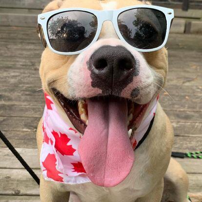 359707470_584897510467135_3790599244485178496_n