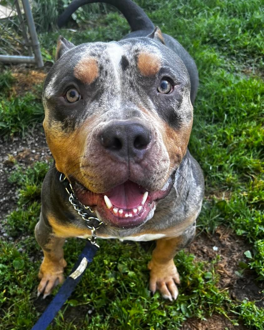 453157568_788998300057054_5305009995905729502_n