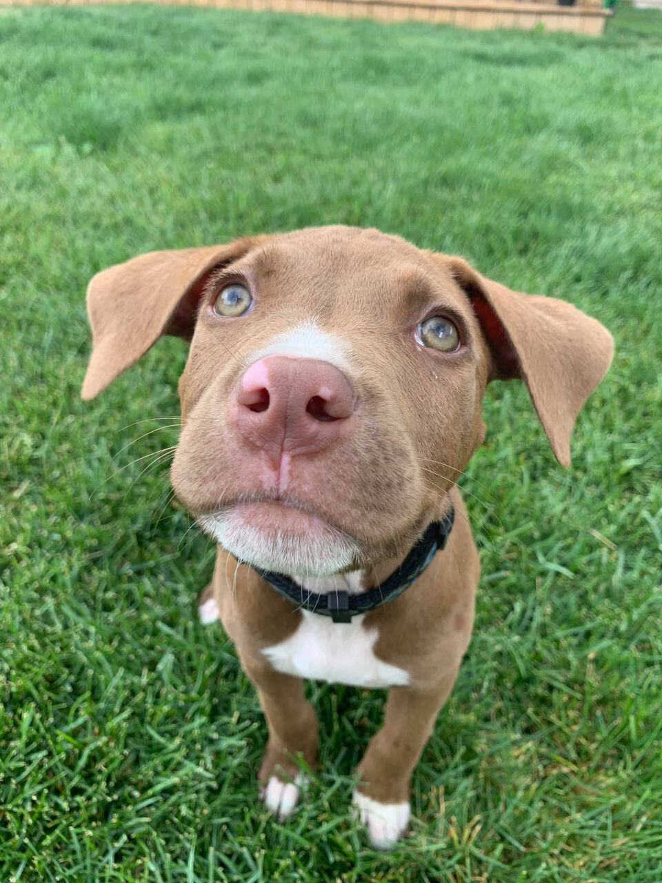 68504991_2433147073586811_5890052814691893248_n