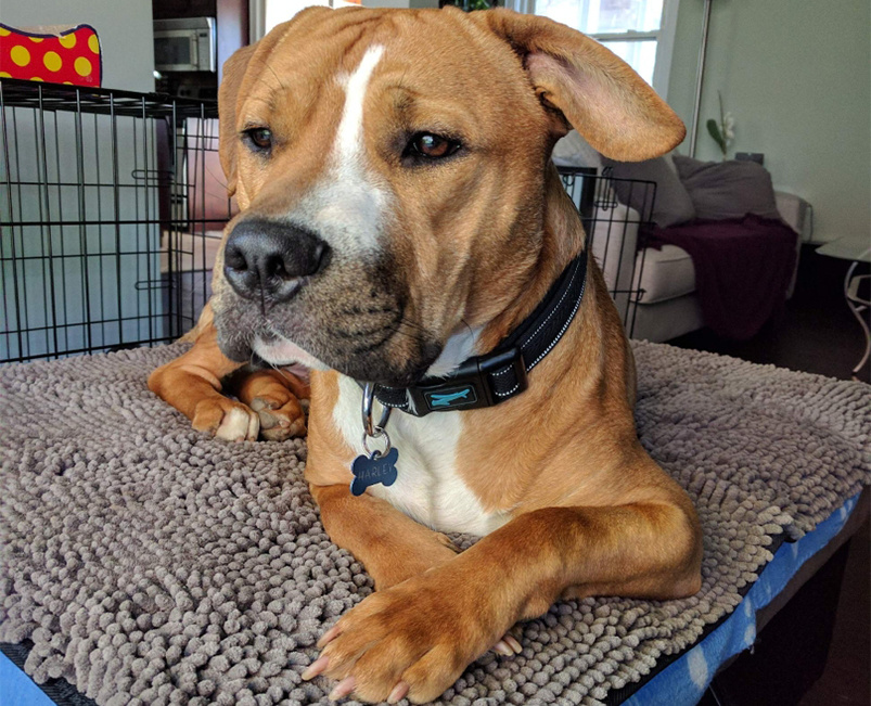 Tyson